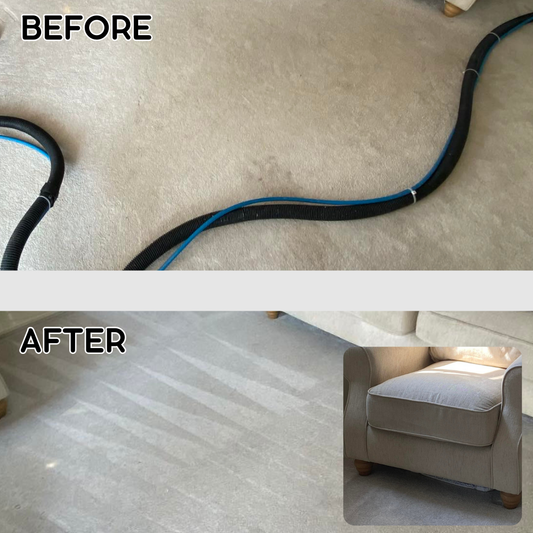 The Importance of Professional Domestic Carpet and Upholstery Cleaning